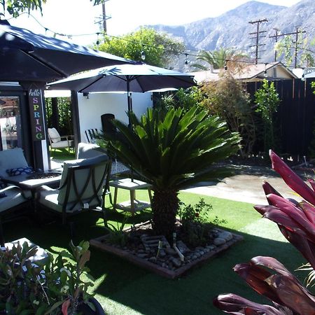 Updated Dwntwn 2Bd Twnhse W/Hot Tub& Private Patio Palm Springs Zewnętrze zdjęcie